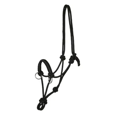 Reins halter for horse Kieffer Ruby