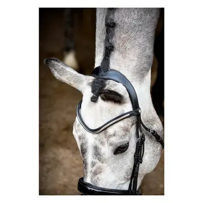 Vegan leather riding bridles Montar Normandie Deluxe ECO