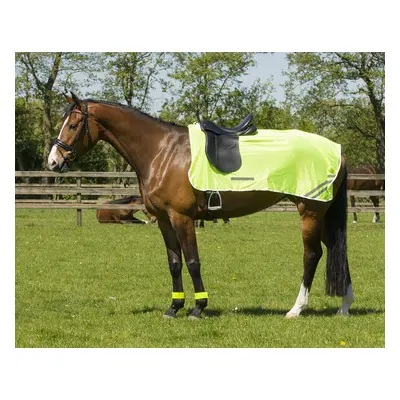 Reflective horse rugs QHP