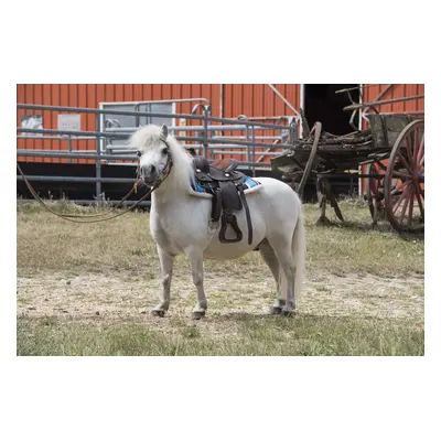 Quilted western horse rug Westride Navajo [Shetland size]