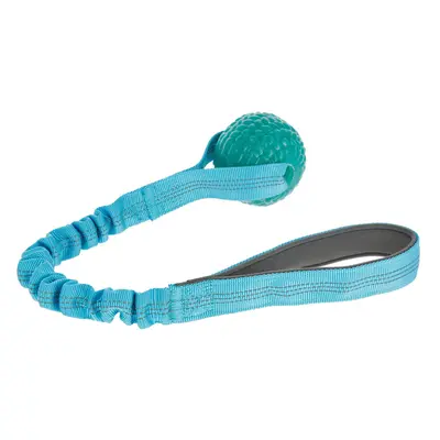 Dog toy Kerbl BungeeToy