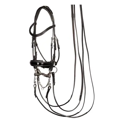 Bridles Harry's Horse S&T Grand Prix