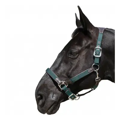 Halter for horse nylon/leather Flags&Cup