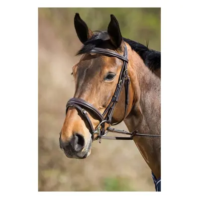 Riding bridles HFI Elegant