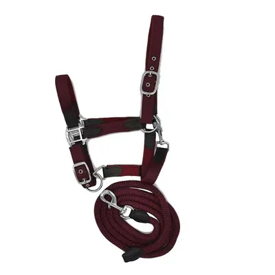 Halter for horse HFI Smart