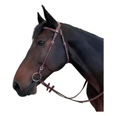 Bridles for horses Flags&Cup Freedom