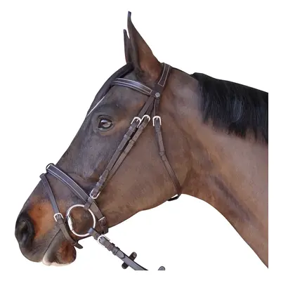 Bridle flat lined Canter