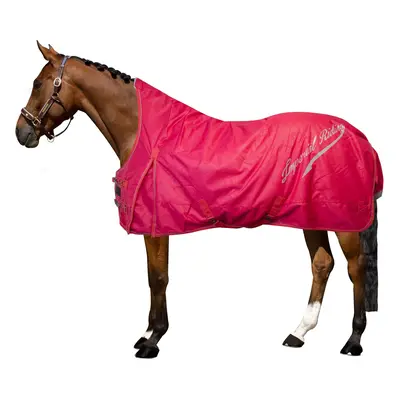 Outdoor horse blanket Imperial Riding Super-dry 300 g