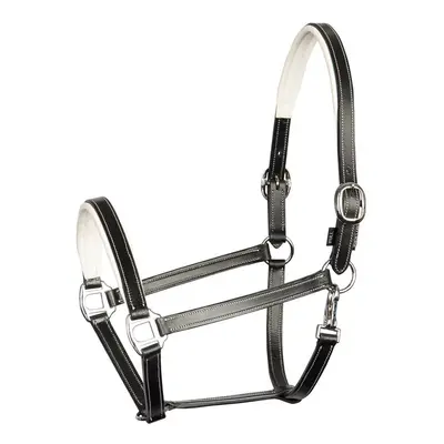 Leather halter for horses Harry's Horse Elegance