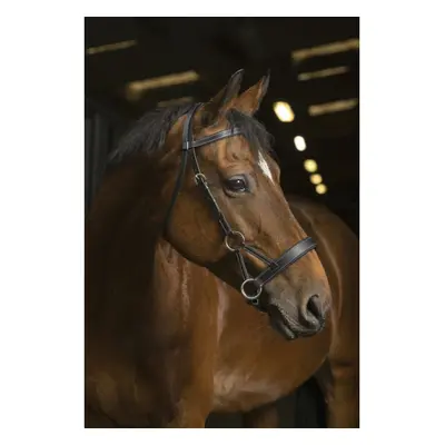 Riding bridles Norton Pro Confort