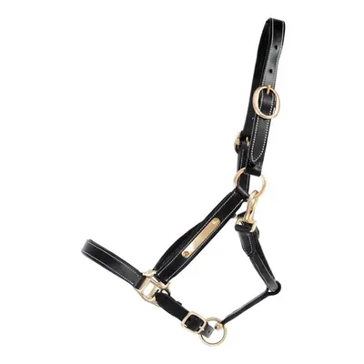 Leather halter for horse with plate T de T