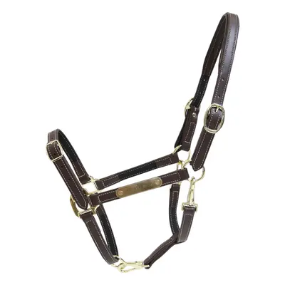 Leather halter for flexible horse Kentucky