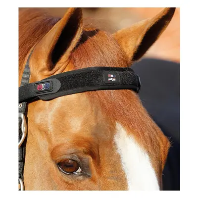 Magnetic horse headband Premier Equine Magni-Teque