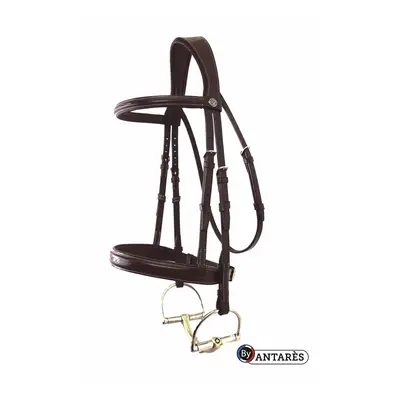 Horse bridles signature by Antarès Hunter