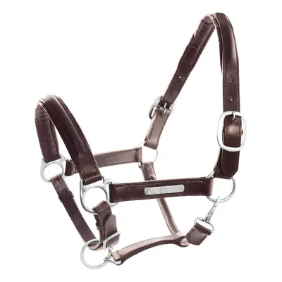 Horse halter with double brass buckles leather Umbria Equitazione