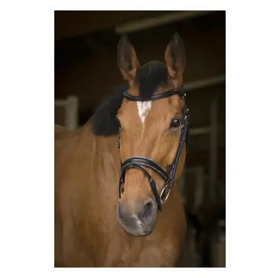 Bridles Norton Pro Rock