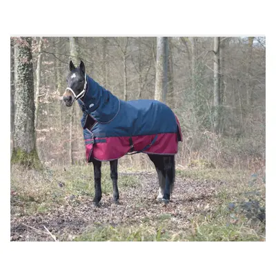 Horse neck cover Equithème Tyrex 1200 D