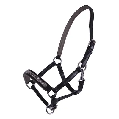 Leather halter for foal QHP Lupine