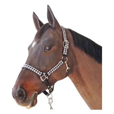 Halter and lead rope set for horse Canter Pied De Poule