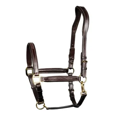 Leather halter for horses Harry's Horse Supreme