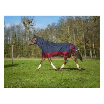 Outdoor horse blanket Equithème Tyrex 1200 D Combo 200g