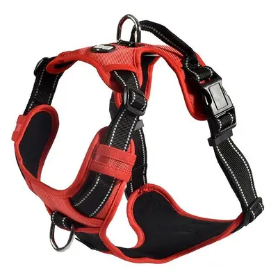 Bobby Rando dog harness