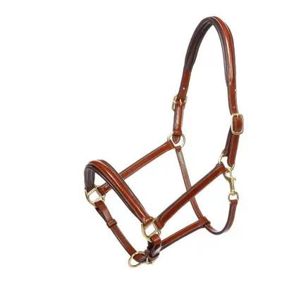 Leather halter for horses Kavalkade Charming