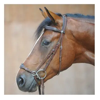 Riding bridles Kavalkade Levana