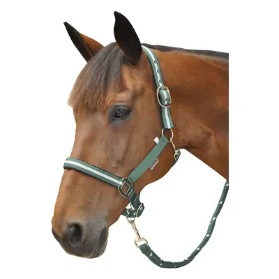 Halter + lurex lead rope set Canter