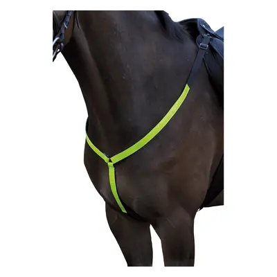 Hunting collar for horse HorseGuard B'Seen reflex