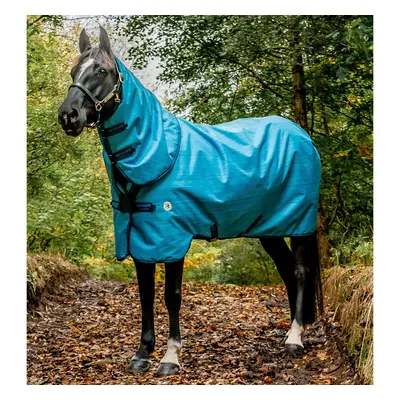 Outdoor horse blanket Horseware Amigo Hero 900 Revive Plus 200g