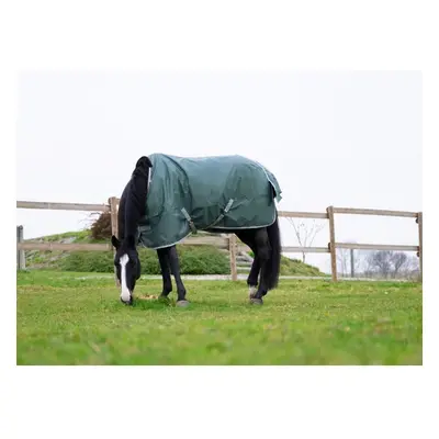 Recycled outdoor horse blanket Equithème Tyrex 600 D 300g