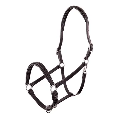 Patent leather halter for horses Premiere Equitation Florennes