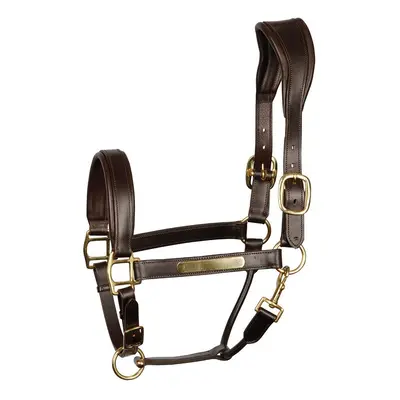 Anatomic leather halter for horses Harry's Horse