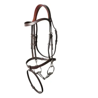 Signature English-combined riding halter with noseband by Antarès Trainning