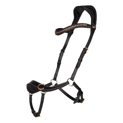 Anatomical bitless bridles QHP