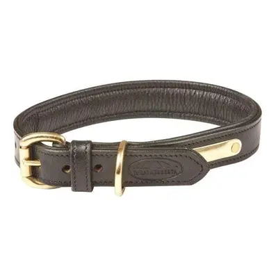 Padded leather dog collar Weatherbeeta