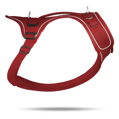 Dog harness Curli Belka