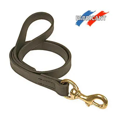 Dog leash Difac Biothane