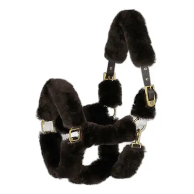 Halter for horse with sheepskin B Vertigo Tremblant