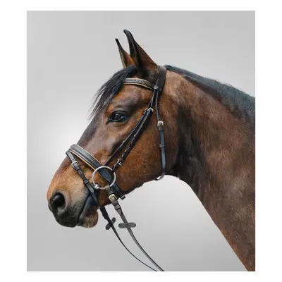 Combined noseband bridle Star Diamond