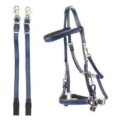 Horse bridles for endurance in pvc Daslö