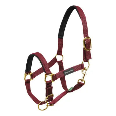 Nylon horse halter with neoprene reinforced padding Umbria Equitazione