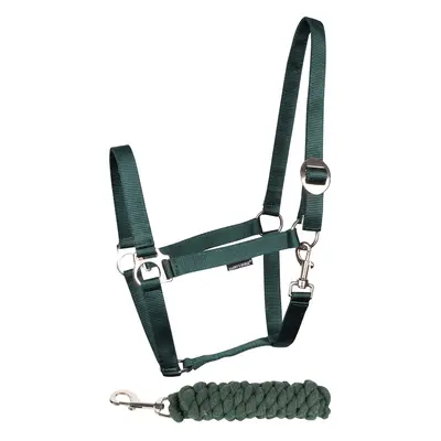 Halter and lead rope set for horse Harry's Horse Initial