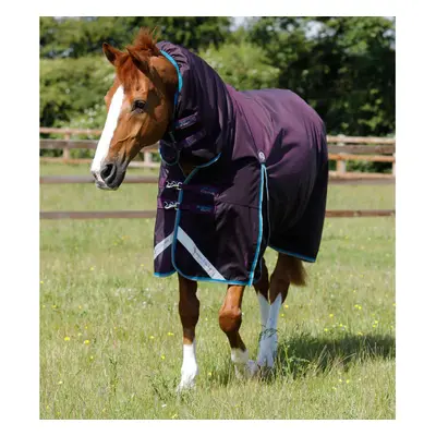 Waterproof outdoor horse blanket with neck cover Premier Equine Buster Storm 100 g