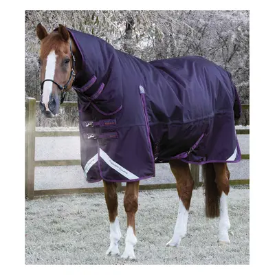 Waterproof outdoor horse blanket with neck cover Premier Equine Buster Storm Classic 420 g