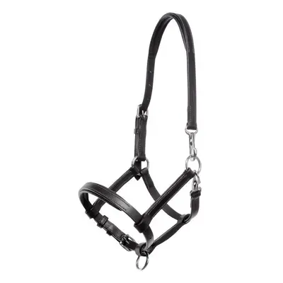 Halter for leather foal Kavalkade