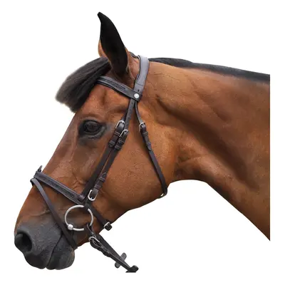 Riding bridles Canter Black strass