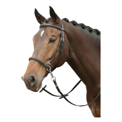 Bridles for horses Harry's Horse Bitless