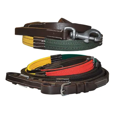 Horse Reins Canter